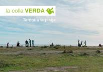 La Colla Verda realizará una plantación masiva en la playa del Pantalán